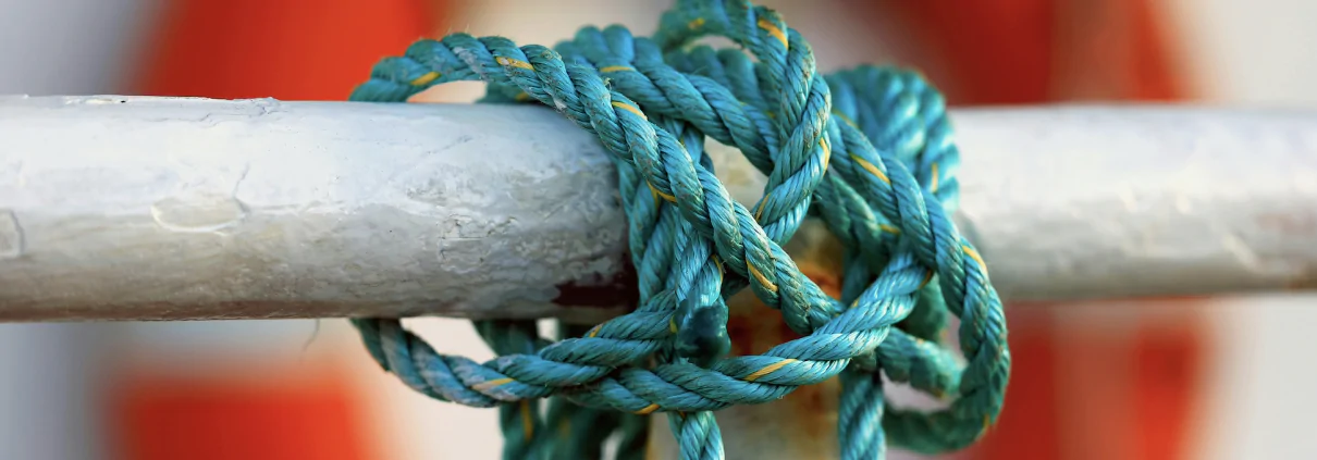 HR systems challenges when a company reaches 50 employees