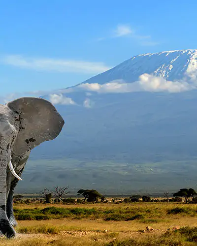 Tanzania destination for the INFINITI HR President’s Club 2025