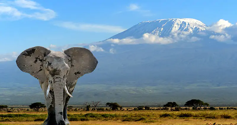 Tanzania destination for the INFINITI HR President’s Club 2025